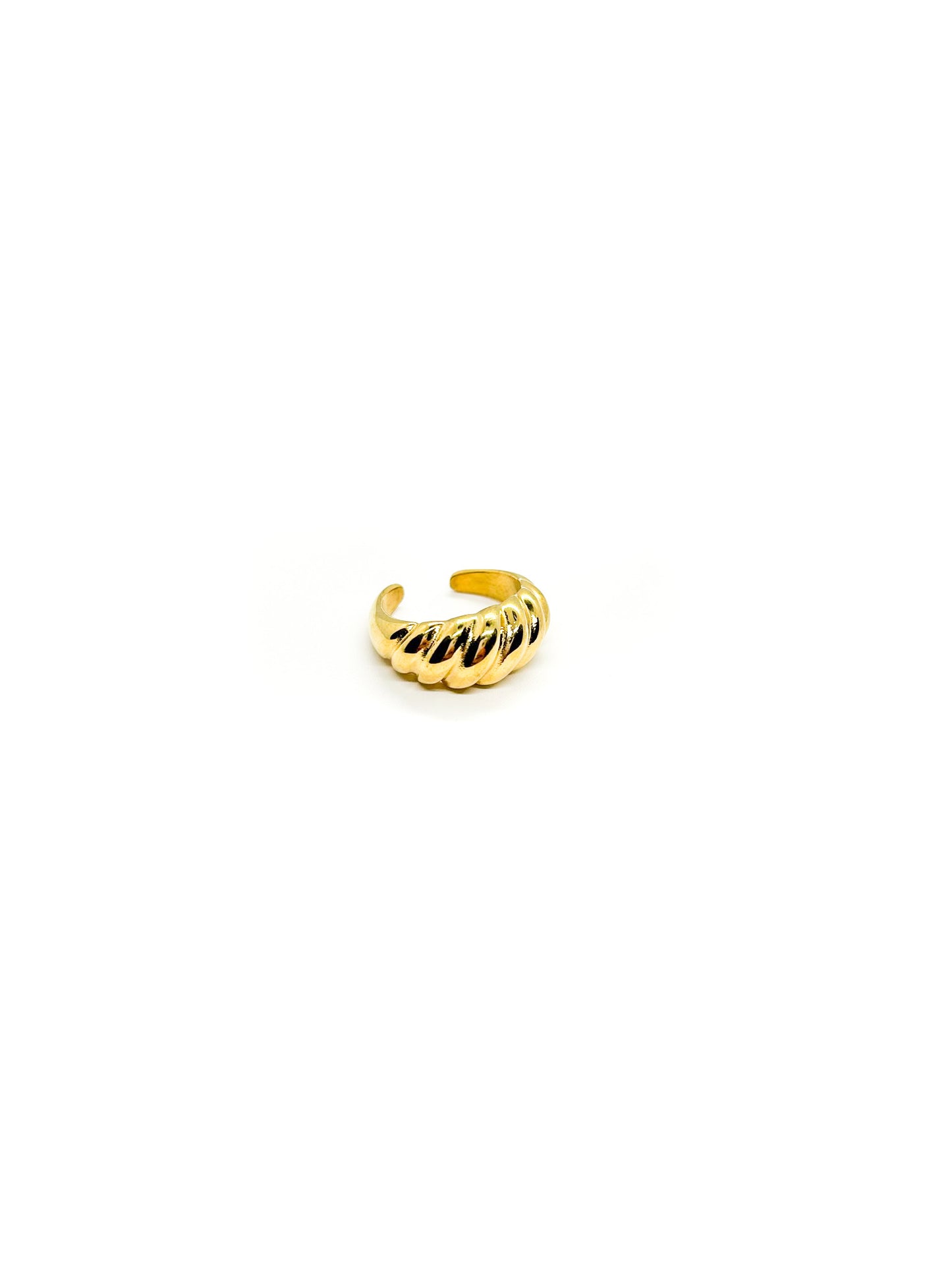 Anillo Concha